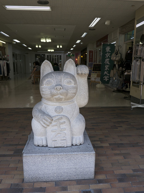 鎌倉小町通りに居た左手挙げの招き猫