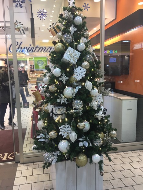 クリスマスツリー 津田沼駅