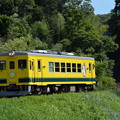 いすみ鉄道 普通列車9D (いすみ352)