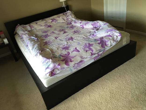 Queen bed frame $20