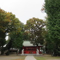 Photos: 小野神社（多摩市）境内・拝殿