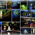 Photos: 兼六園ライトアップ　初夏の段