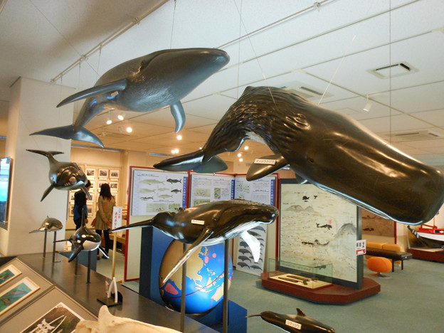 五島列島＊鯨賓館ミュージアム１